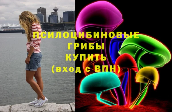 spice Алексеевка