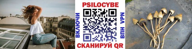 Псилоцибиновые грибы прущие грибы  где найти   Пугачёв 