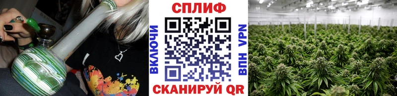 Канабис White Widow Пугачёв